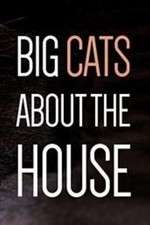 Watch Big Cats About the House 5movies