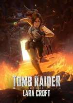 Watch Tomb Raider: The Legend of Lara Croft 5movies