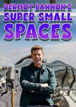 Watch Dermot Bannon's Super Small Spaces 5movies