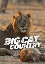 Watch Big Cat Country 5movies