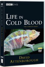 Watch Life in Cold Blood 5movies