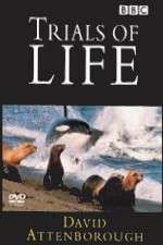 Watch The Trials of Life 5movies