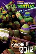 Watch Teenage Mutant Ninja Turtles 5movies