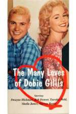 Watch The Many Loves of Dobie Gillis 5movies