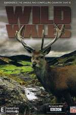 Watch Wild Wales 5movies