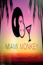 Watch Miami Monkey 5movies