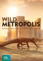 Watch Wild Metropolis 5movies