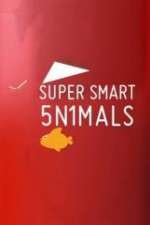 Watch Super Smart Animals 5movies