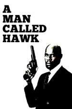 Watch A Man Called Hawk 5movies