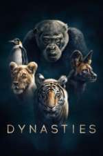 Watch Dynasties 5movies