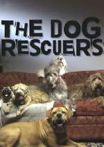 Watch The Dog Rescuers with Alan Davies 5movies