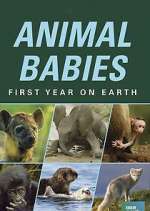 Watch Animal Babies: First Year on Earth 5movies