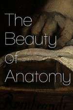 Watch The Beauty of Anatomy 5movies