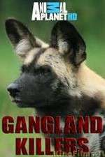 Watch Gangland Killers 5movies