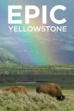 Watch Epic Yellowstone 5movies
