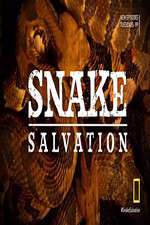 Watch Snake Salvation 5movies
