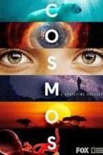 Watch Cosmos A SpaceTime Odyssey 5movies