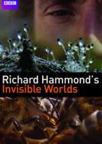 Watch Richard Hammond's Invisible Worlds 5movies