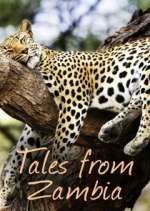 Watch Tales from Zambia 5movies