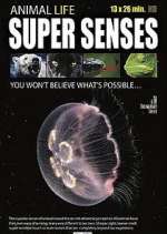 Watch Super Senses 5movies