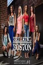 Watch Breaking Boston 5movies