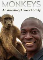 Watch Monkeys: An Amazing Animal Family 5movies