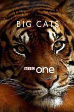 Watch Big Cats 5movies