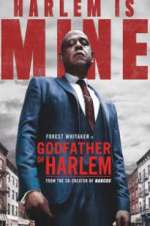 Watch Godfather of Harlem 5movies