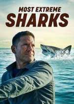 Watch Most Extreme Sharks 5movies