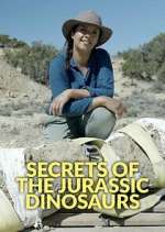 Watch Secrets of the Jurassic Dinosaurs 5movies