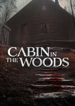 Watch Cabin in the Woods 5movies