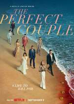 Watch The Perfect Couple 5movies