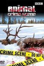 Watch Animal Crime Scene 5movies