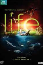 Watch Life 5movies