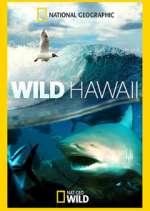 Watch Wild Hawaii 5movies