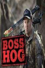 Watch Boss Hog 5movies