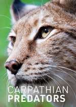 Watch Carpathian Predators 5movies