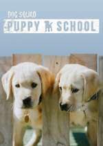 Watch Dog Squad: Puppy School 5movies