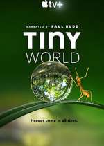 Watch Tiny World 5movies