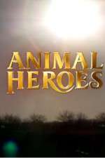 Watch Animal Heroes 5movies