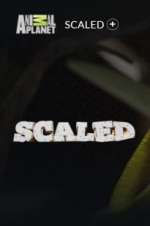 Watch Scaled 5movies