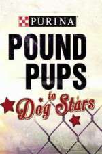 Watch Purina Pound Pups To Dog Stars 5movies