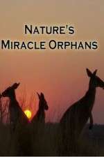 Watch Nature's Miracle Orphans 5movies