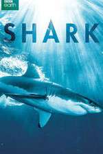 Watch Shark 5movies