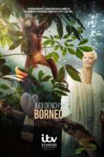 Watch Judi Dench\'s Wild Borneo Adventure 5movies