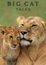 Watch Big Cat Tales 5movies