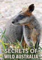 Watch Secrets of Wild Australia 5movies