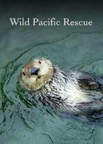 Watch Wild Pacific Rescue 5movies