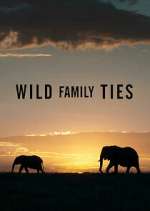 Watch Wild Family Ties 5movies