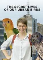 Watch The Secret Lives of Our Urban Birds 5movies